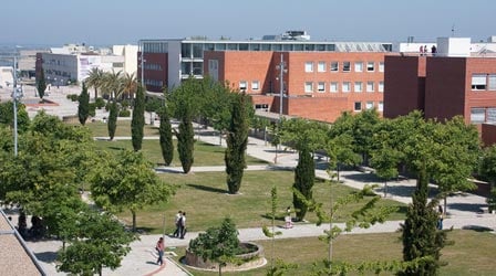 The U. Aveiro campus